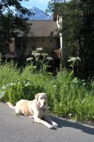 Eagle Peak Guesthouse - Chambres d’hôtes Eagle River