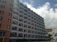 Apartamento Monis Natura - B&B Icod de los Vinos