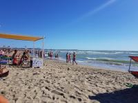 Rodeo Drive - B&B Viareggio