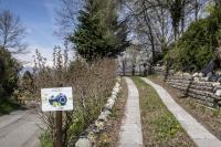 B&B Il Mirtillo - B&B
