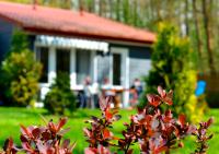 Babie Lato - Bed and Breakfast