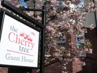 The Cherry Tree Guest House - B&B Eastbourne