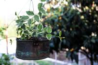 Appartamento - Piano Terra