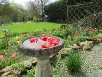 Fermette dans les pays de la Loire - Ferienwohnung Izé