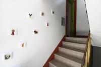 Four Seasons House (Female only) - Bed and Breakfast Seoel