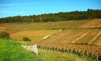 Domaine de la Corgette - Ferienwohnung