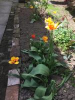 Crown Street Garden Studio - B&B