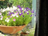 Casa Anselmi - ArgonautiVacanze - B&B Portoferraio