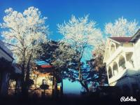 "Rheinschlosschen" Villa am Meer - Bed and Breakfast