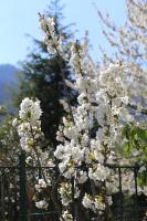 Melina's House - Bed and Breakfast Tramonti