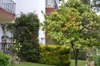 Apartamento recien reformado a 300 metros del mar - B&B