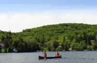 Kamer met Queensize Bed