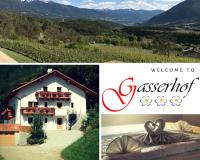 B&B Naz-Sciaves - Gasserhof Aicha - Bed and Breakfast Naz-Sciaves