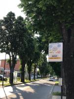 Alba Serena Camere - Bed and Breakfast Alba