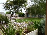 Coonawarra Motor Lodge - B&B Penola