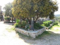 Les gites de lozari - Ferienwohnung Belgodere