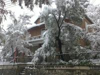 Metaxas Mansion - Chambres d’hôtes Kakopetriá