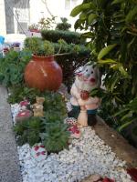 Apartment Nereo - B&B Senj