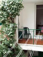 Casa La Quiete - B&B Orco Feglino