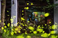 Maple map B&B - B&B Dahu