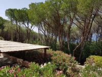 Villino I Pini - B&B