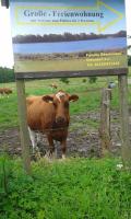 FeWo am Pohlsee - B&B