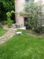 Queen Room with Garden View