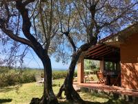 B&B Guardistallo - Cottage Gaia with sea view, fenced garden by ToscanaTour - Bed and Breakfast Guardistallo