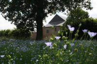 Gîtes du Grand Bois - Bed and Breakfast