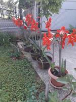 Apartman Patrik - Chambres d’hôtes Slunj