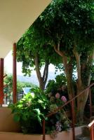 Koula Apartments - Bed and Breakfast Stalís