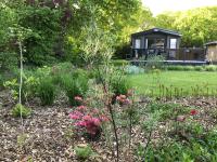 New Forest holiday lodge - Chambres d’hôtes New Milton