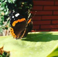 Relais Villa Italia - B&B