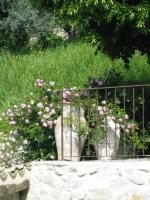 Les Vieux Murs - Chambres d’hôtes Montfort