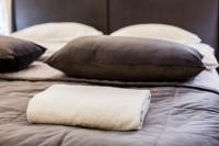 Royal Luxury apartment on Tsehova 9 - B&B Leopoli