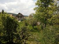 Quadruple Room with Garden View