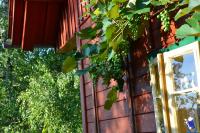 Ferienwohnung Nostalgie - B&B Ehrenhausen