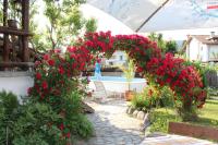 Старата Тонина къща - B&B