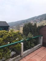 Ferienwohnung im Terrassenpark Sasbachwalden - Ferienwohnung