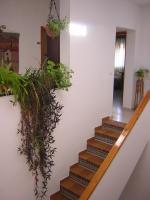 Casa Algaida - B&B Sanlúcar de Barrameda