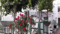 Dvor Ana - B&B