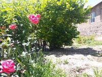 Areni Tavern-B&B - B&B