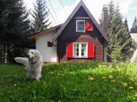Snowhite Jahorina - B&B Jahorina