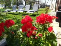 VILLA BOTTERA with Jacuzzi in the garden Cuneo Langhe Piemonte - Bed and Breakfast Riforano