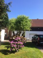 Pension Zum alten Gasthaus Hänsel - Chambres d’hôtes Krauschwitz