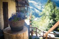 Lous Escartoun - B&B Pragelato