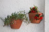 Stella's House - B&B Nazaré