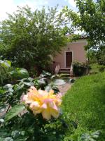 B&B Viggiano - L'Antico Gelso - Bed and Breakfast Viggiano