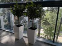 Charming Pine View Apartment - Ferienwohnung Vantaa