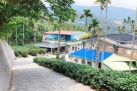 Look Tea House - B&B Meishan